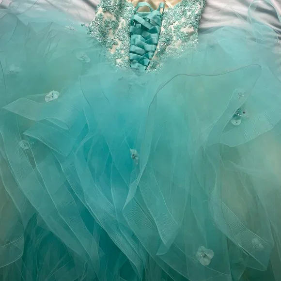 Morilee Vizcaya Quinceanera Corset Fairytale Dress Ball Gown 89174 *Note Cond - Picture 9 of 15